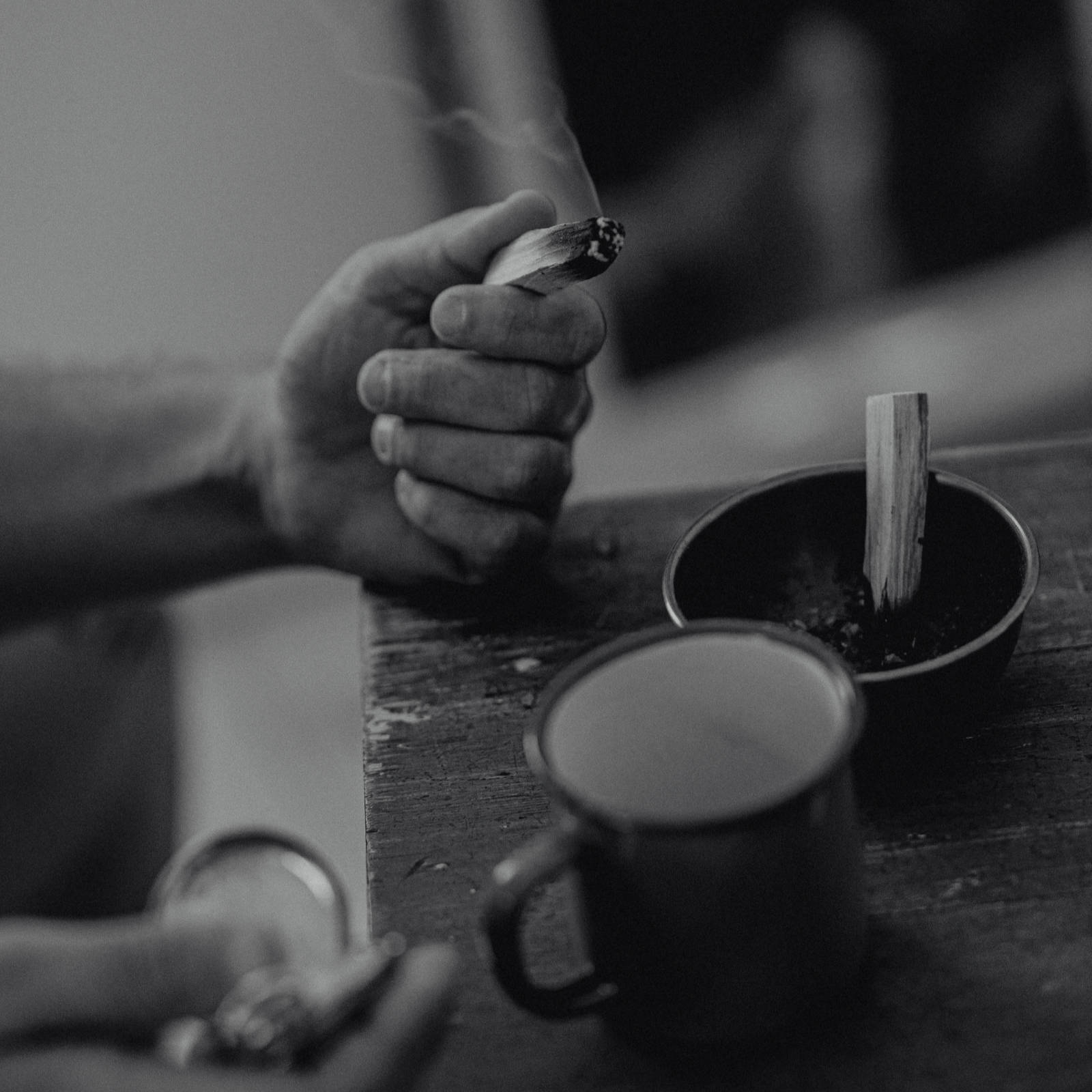 Palo Santo "Holy Wood"